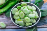 一年生草本蚕豆一般什么时间种植？方法有哪些？落花落荚的原因是什么？
