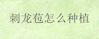 刺龙苞怎么种植
