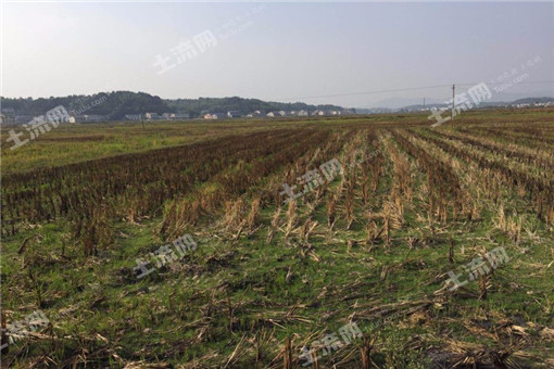 永平县2016年中央农业支持保护补贴（耕地地力保护资金）兑补工作方案