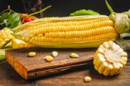 博瑞9玉米种子介绍