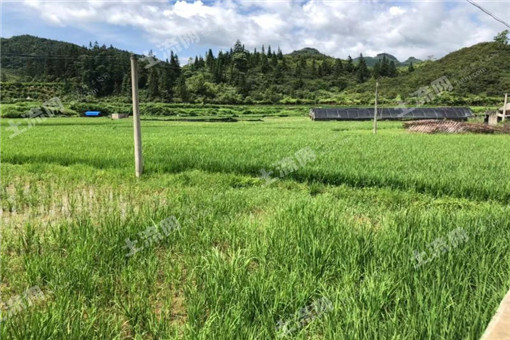 竹山县2016年耕地地力保护补贴经查实为多少钱一亩？