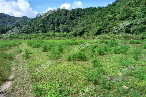 灌云县2016年农业支持保护补贴（耕地地力保护）管理工作实施方案