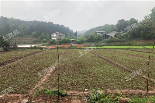 石台县2016年农业支持保护补贴发放标准为多少钱一亩？