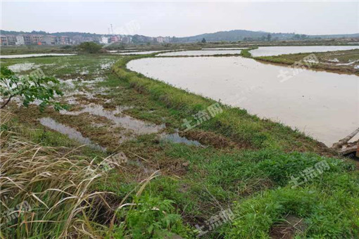 2016年绍兴市越城区行政区域粮食生产扶持政策