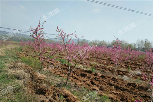 淮阴区2016年农业支持保护补贴发放工作已完成！