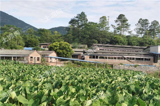 田阳县已完成2016年农业支持保护补贴发放,7.1万户农户受益！