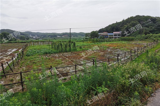 汐子镇共发放2016年农业支持保护补贴1270.54万元,惠及1.66万农户！