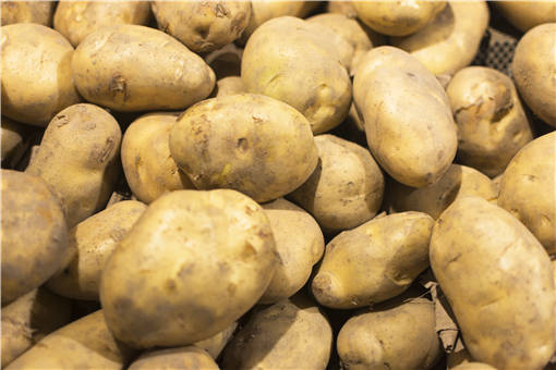 小土豆大作为，榆阳入选首批国家农村产业融合发展示范园