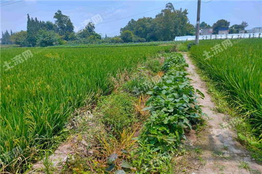 2016年清水河县为农户发放农业支持保护补贴多少钱？