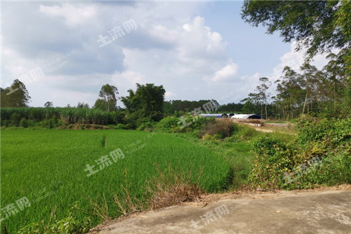 马山县“十三五”农业发展规划