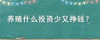 養(yǎng)殖什么投資少又掙錢