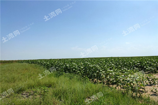 河口县2016年省级农业支持保护补贴（耕地地力保护资金）实施方案