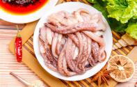 章鱼 鱿鱼 墨鱼是鱼吗