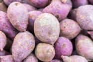 紫薯的功效与作用有哪些？不适合吃的人群是哪些？