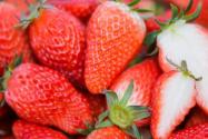 水果皇后草莓一年结几次果？果期怎么管理才能高产？