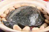 现野生团鱼（甲鱼）价格多少钱一斤？未来养殖还能赚钱吗？