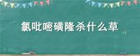 氯吡嘧磺隆杀什么草