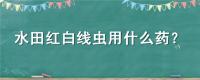 水田红白线虫用什么药