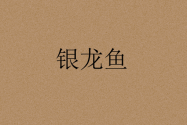 市场上的银龙鱼价格多少钱一条？怎么养？