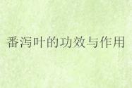 “刺激性泻药”番泻叶的功效与作用有哪些？有副作用吗？能减肥吗？
