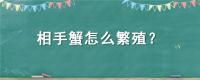 相手蟹怎么繁殖？