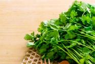 香菜價(jià)格多少錢一斤？什么時(shí)候種植？高產(chǎn)栽培技術(shù)有哪些？