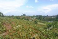 如何加快土地确权登记来推动农业规模经营？