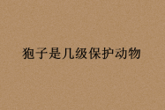 狍子是几级保护动物？可以人工养殖吗？