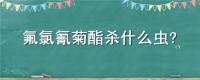氟氯氰菊酯杀什么虫