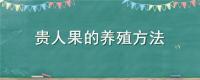贵人果的养殖方法