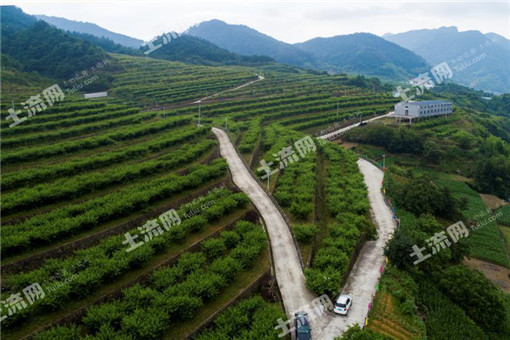 台湾农场的生态农业经营模式【案例】