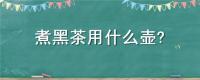 煮黑茶用什么壶