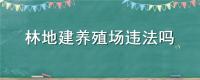 林地建養(yǎng)殖場違法嗎