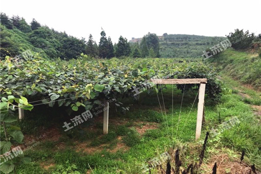 什么是黑土地 5f90fe4c7c9c8.jpg