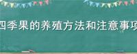 四季果的养殖方法和注意事项