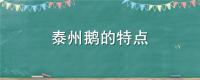 泰州鹅的特点