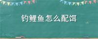 钓鲤鱼怎么配饵