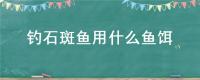 钓石斑鱼用什么鱼饵