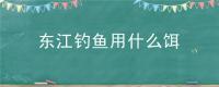 东江钓鱼用什么饵
