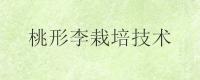 桃形李栽培技术