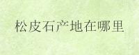 松皮石产地在哪里？附清洗技巧