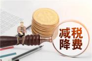 2020年小规模纳税人增值税减免延至年底！怎么申报？附最新标准！