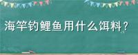 海竿钓鲤鱼用什么饵料