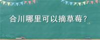 合川哪里可以摘草莓