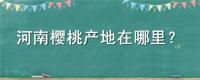河南樱桃产地在哪里