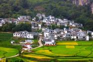 2018年佛山南海农村居民自建住宅新规：做不到这两点就是违建！