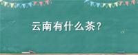 云南有什么茶