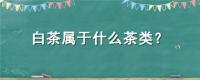 白茶属于什么茶类