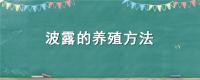 波露的养殖方法