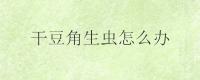 干豆角生虫怎么办
